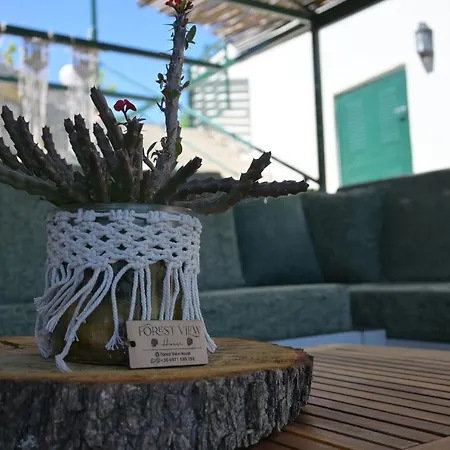 Forest View House In South Rethymno
